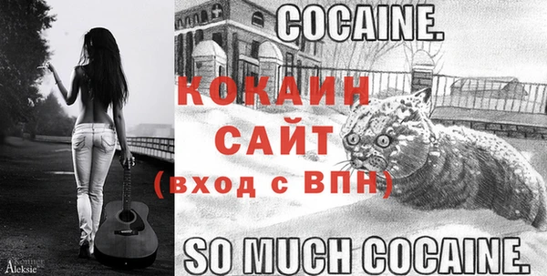 индика Балабаново