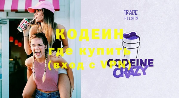 индика Балабаново