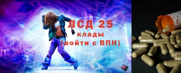прущие крисы Белокуриха