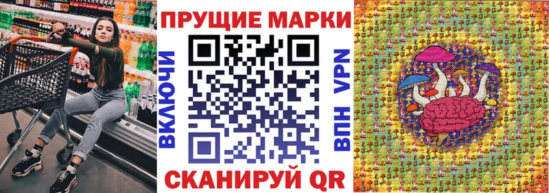 мега маркетплейс  Волхов  Марки NBOMe 1,5мг 