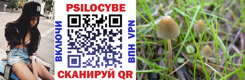 наркошоп mega онион Галлюциногенные грибы MAGIC MUSHROOMS Волхов